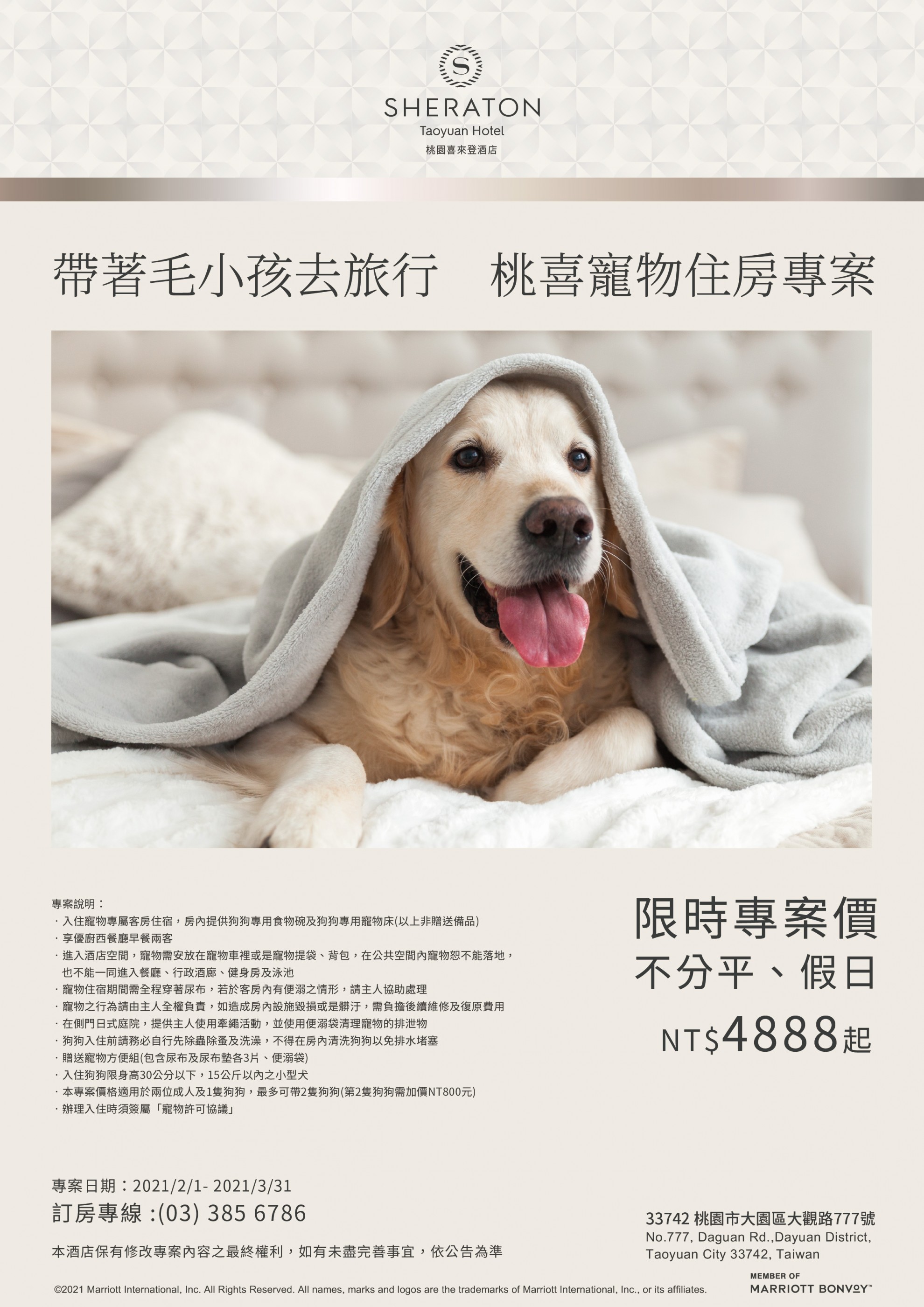 帶著毛小孩去旅行 桃喜寵物住房專案 帶著毛小孩去旅行 桃喜寵物住房專案