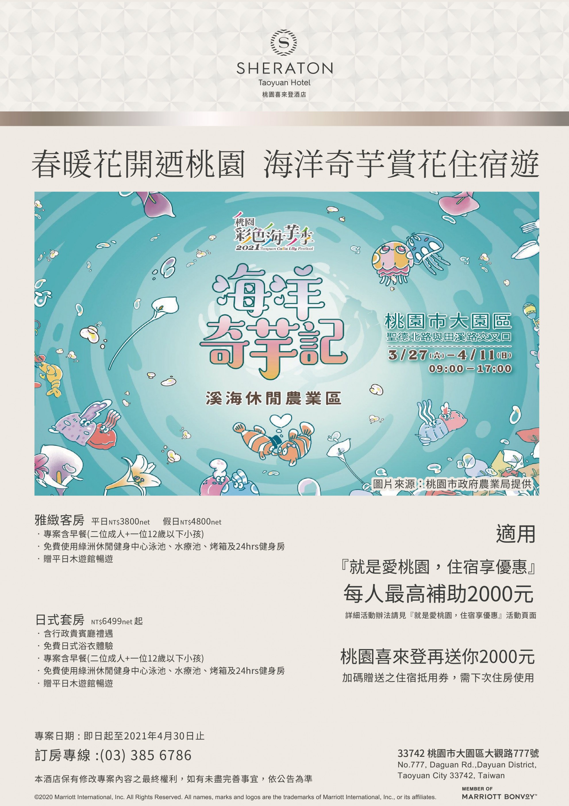 春暖花開迺桃園 海洋奇芋賞花住宿遊 春暖花開迺桃園 海洋奇芋賞花住宿遊