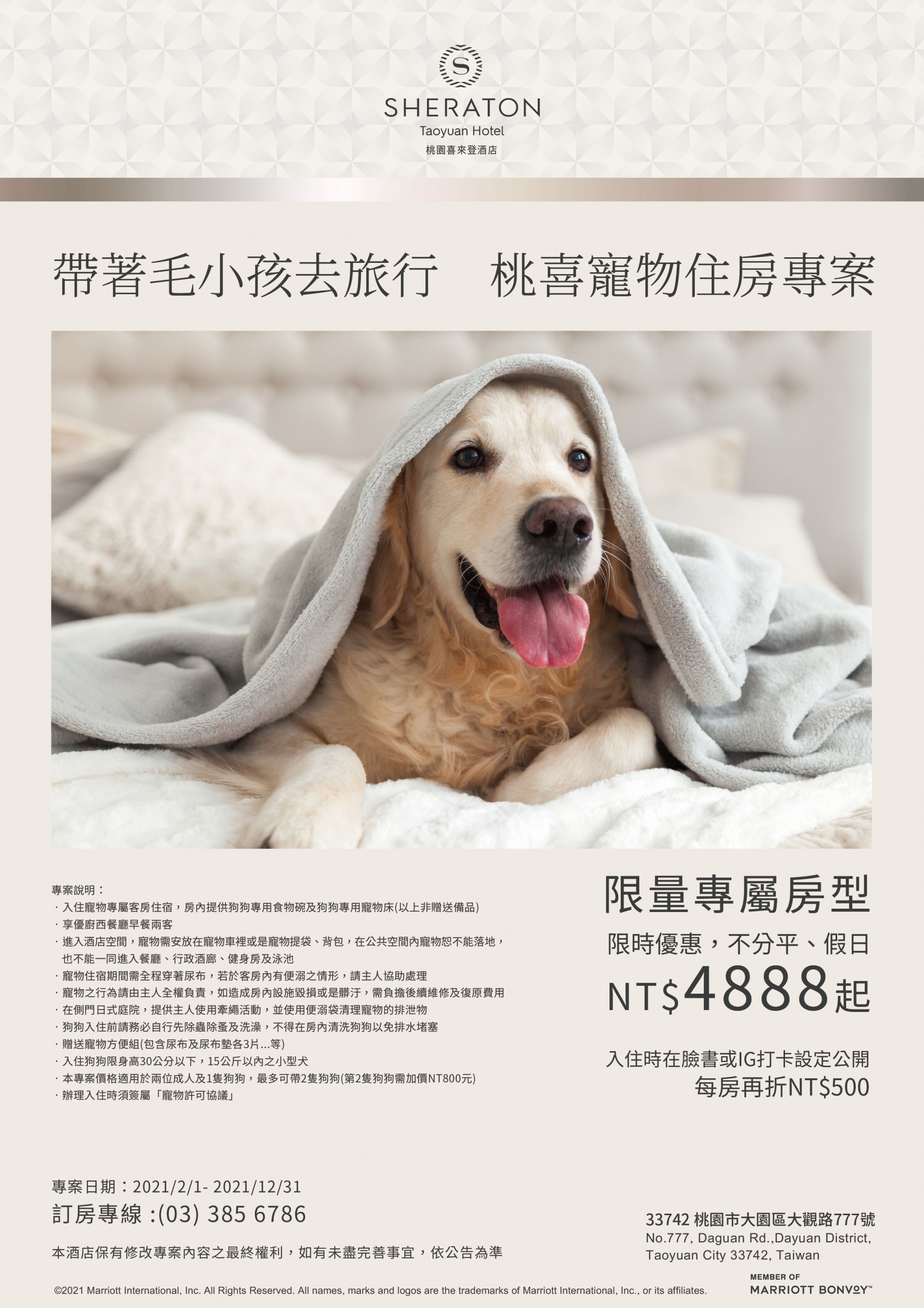 帶著毛小孩去旅行 桃喜寵物住房專案 帶著毛小孩去旅行 桃喜寵物住房專案