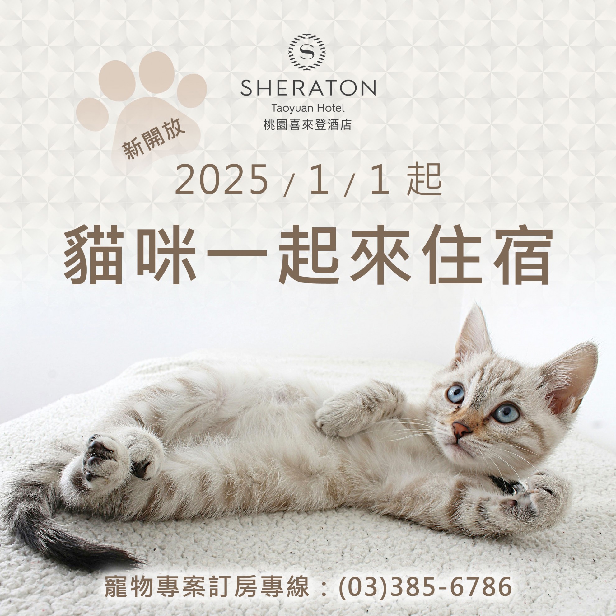 🐶寵愛毛寶貝 住房專案🐱 🐶寵愛毛寶貝 住房專案🐱
