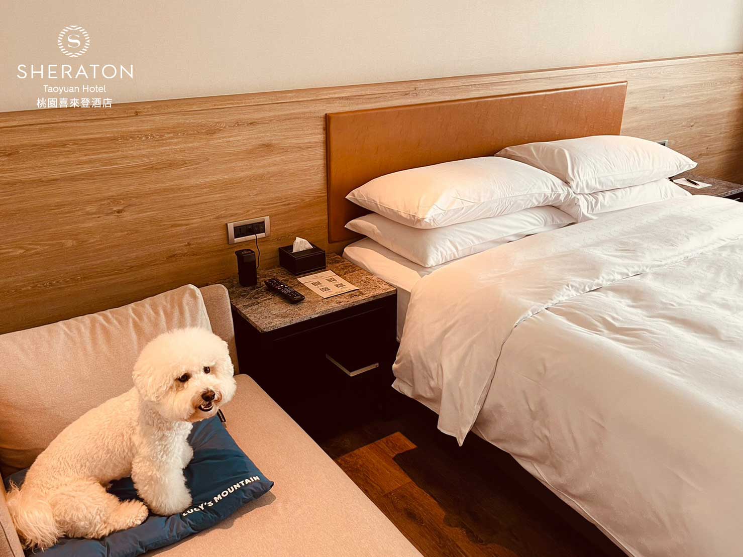 🐶寵愛毛寶貝 住房專案🐱