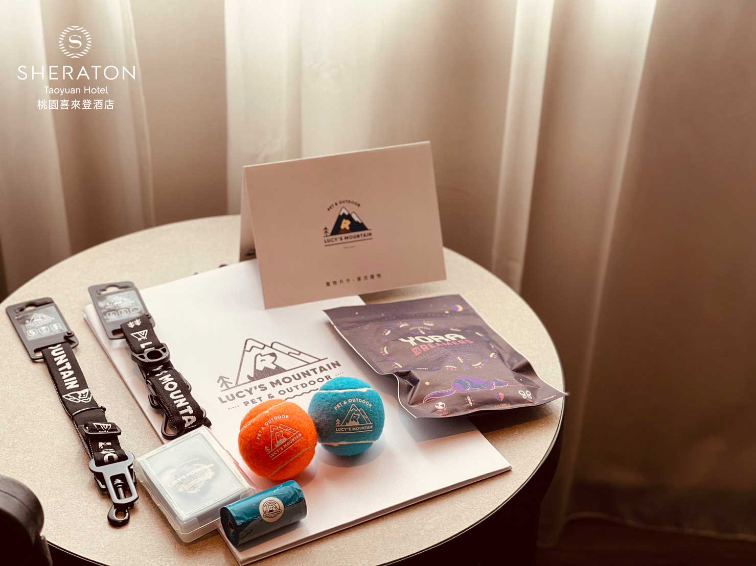 🐶寵愛毛寶貝 住房專案🐱