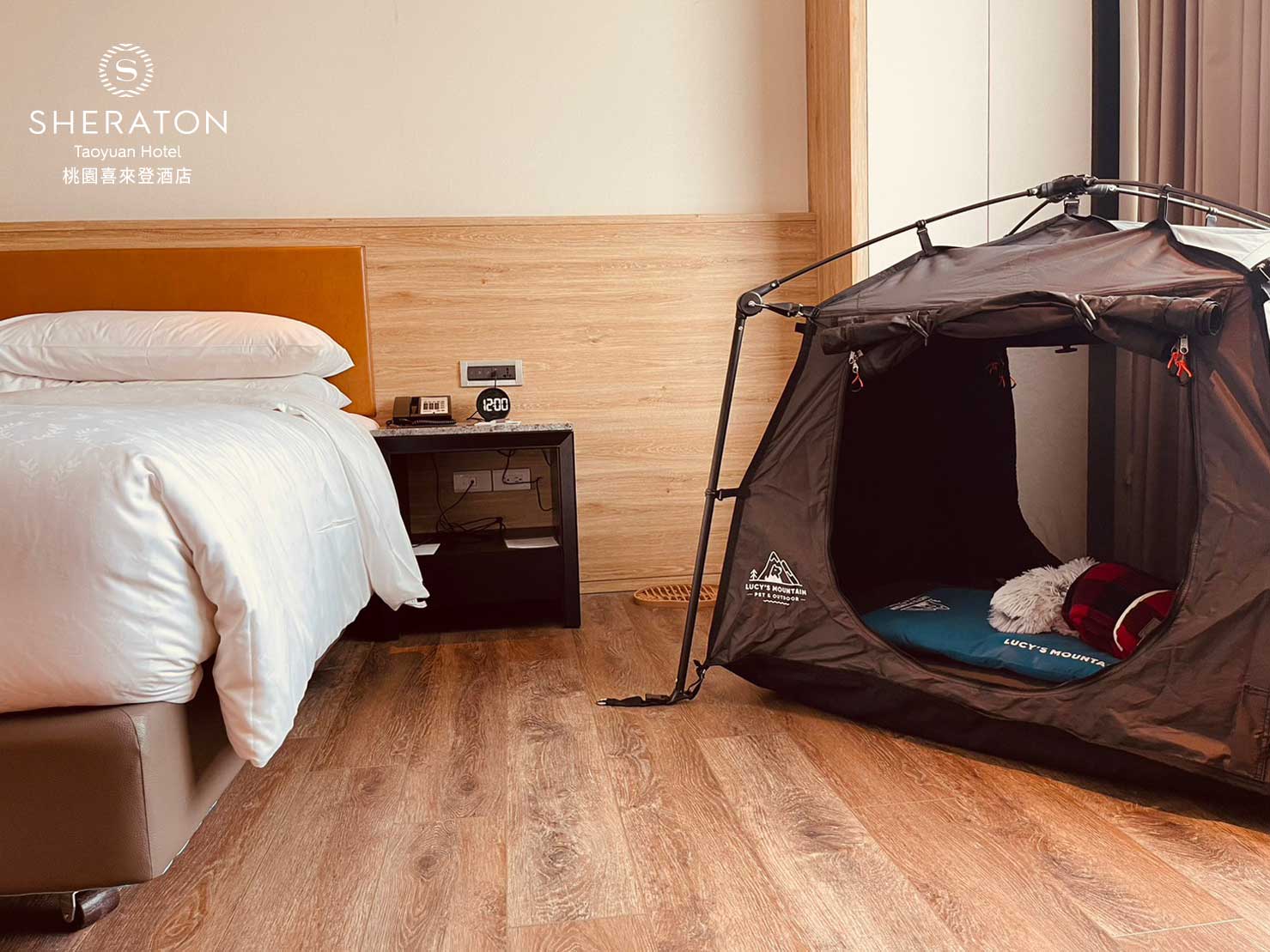 🐶寵愛毛寶貝 住房專案🐱