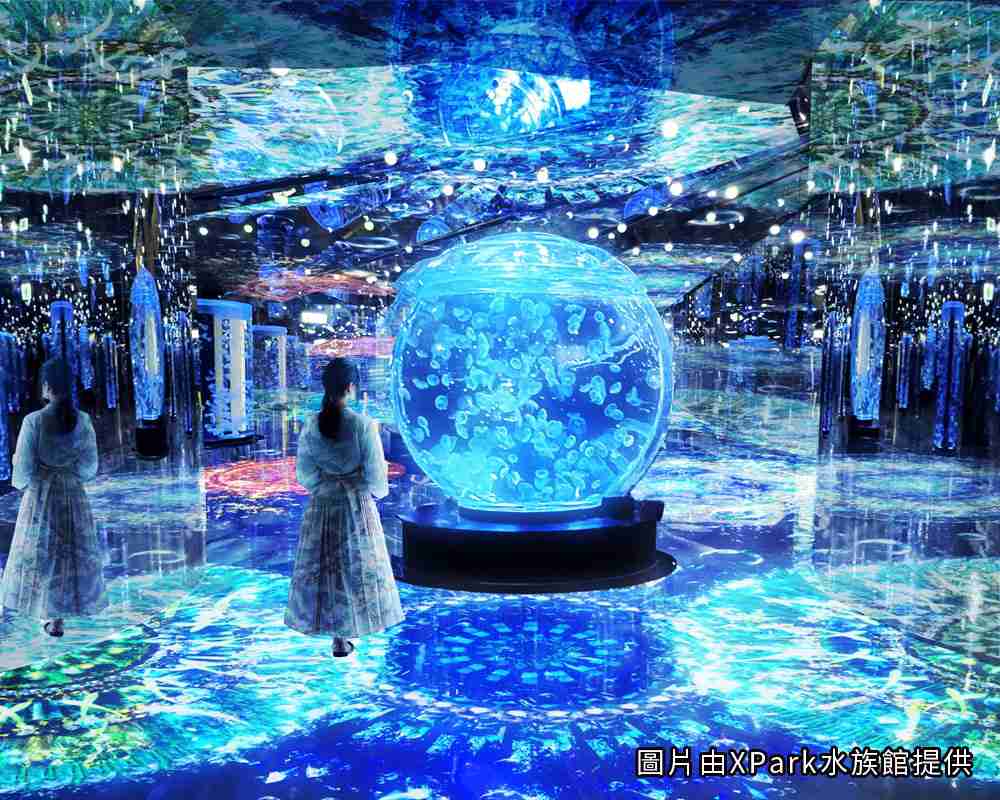 探索海洋奇境  XPark住宿專案 探索海洋奇境  XPark住宿專案