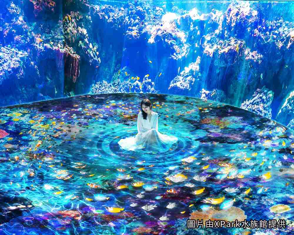探索海洋奇境  XPark住宿專案 探索海洋奇境  XPark住宿專案
