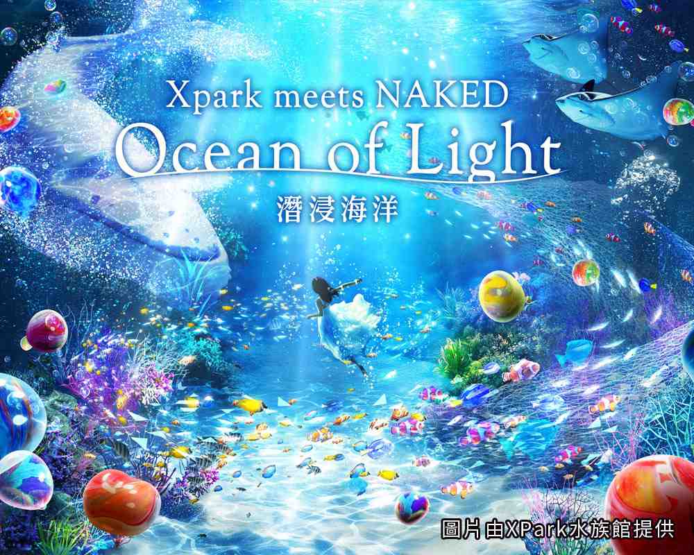 探索海洋奇境  XPark住宿專案 探索海洋奇境  XPark住宿專案
